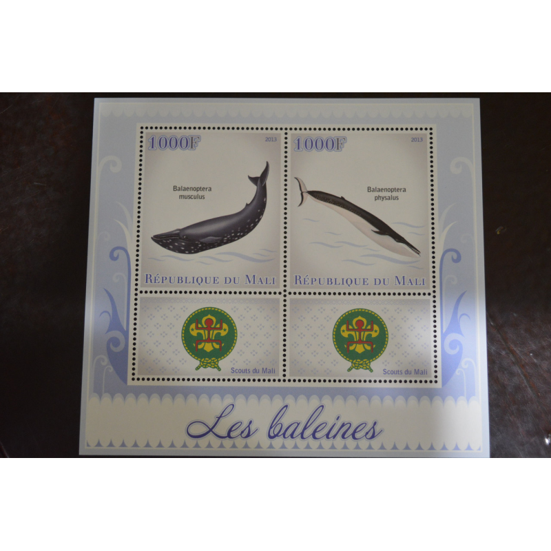 Малі. Марки. Фауна. Блок. 2013 рік (В-3) Малі. Марки. Фауна. Блок. 2013 рік (В-3)