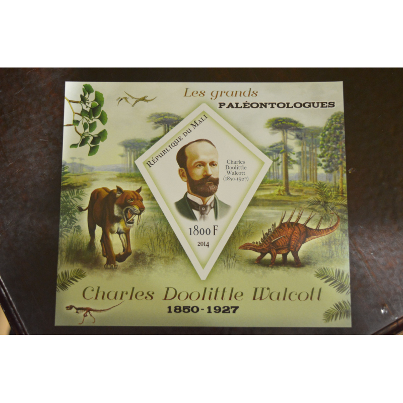 Малі. Марки. Особистості. Блок. 2014 рік (В-3) Малі. Марки. Особистості. Блок. 2014 рік (В-3)