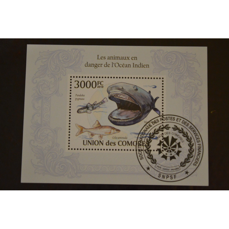 Комори. Марки. Фауна. Блок. 2010 рік (У-5) Комори. Марки. Фауна. Блок. 2010 рік (У-5)