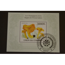 Комори. Марки. Фауна. Блок. 2010 рік (У-5)