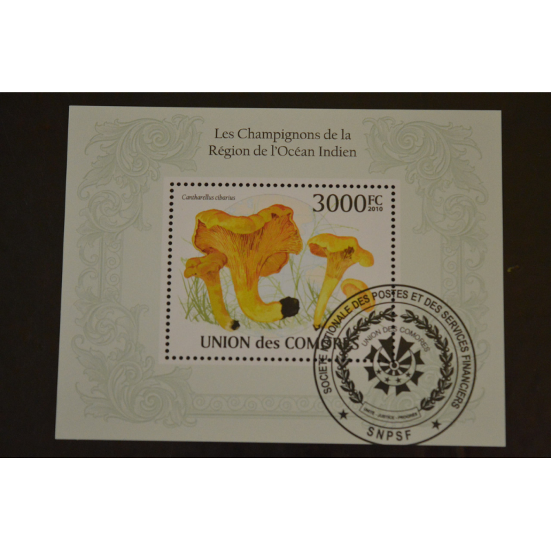 Комори. Марки. Фауна. Блок. 2010 рік (У-5) Комори. Марки. Фауна. Блок. 2010 рік (У-5)