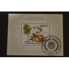 Комори. Марки. Фауна. Блок. 2010 рік (У-5)