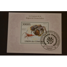 Комори. Марки. Фауна. Блок. 2010 рік (У-5)