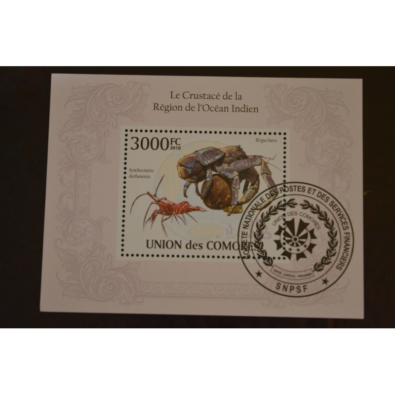 Комори. Марки. Фауна. Блок. 2010 рік (У-5) Комори. Марки. Фауна. Блок. 2010 рік (У-5)