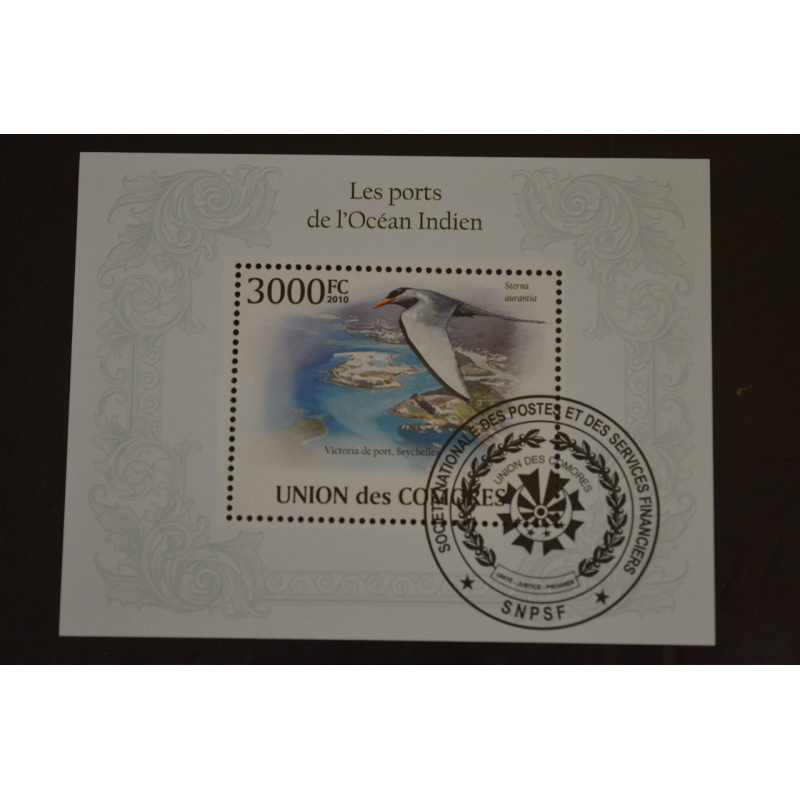 Комори. Марки. Фауна. Блок. 2010 рік (У-5) Комори. Марки. Фауна. Блок. 2010 рік (У-5)