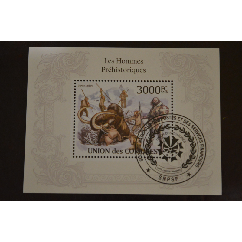 Комори. Марки. Фауна. Блок. 2010 рік (У-5) Комори. Марки. Фауна. Блок. 2010 рік (У-5)