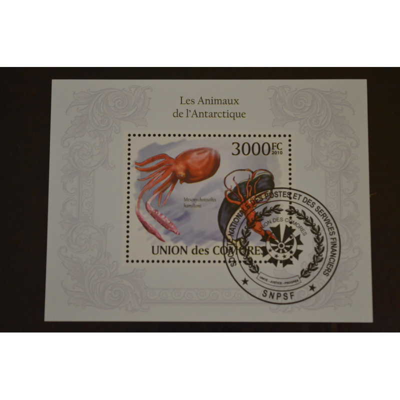 Комори. Марки. Фауна. Блок. 2010 рік (У-5) Комори. Марки. Фауна. Блок. 2010 рік (У-5)