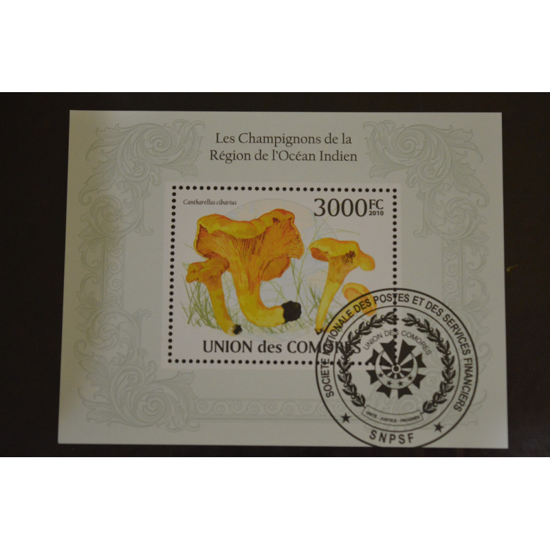 Комори. Марки. Фауна. Блок. 2010 рік (У-5)