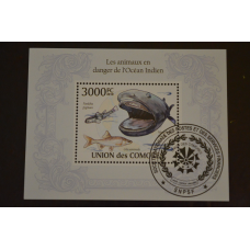 Комори. Марки. Фауна. Блок. 2010 рік (У-5)