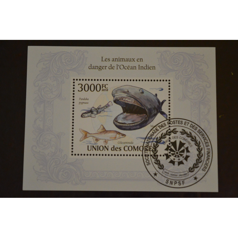 Комори. Марки. Фауна. Блок. 2010 рік (У-5) Комори. Марки. Фауна. Блок. 2010 рік (У-5)