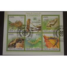 Комори. Марки. Фауна. Блок. 2009 рік (В-5)