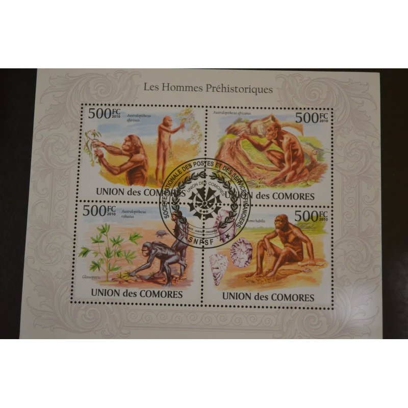 Комори. Марки. Фауна. Блок. 2009 рік (В-5) Комори. Марки. Фауна. Блок. 2009 рік (В-5)