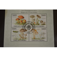 Комори. Марки. Фауна. Блок. 2009 рік (В-5)