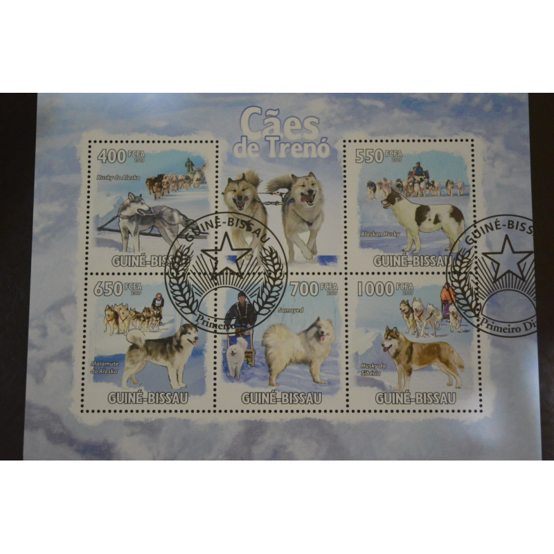 Гвінея - Бісау. Марки. Фауна. Блок. 2009 рік (В-5) Гвінея - Бісау. Марки. Фауна. Блок. 2009 рік (В-5)