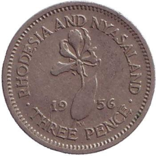 Глоріозу (Плам“яна лілія). Монета 3 пенси. 1957,62,64 рік, Родезія й Ньясаленд.