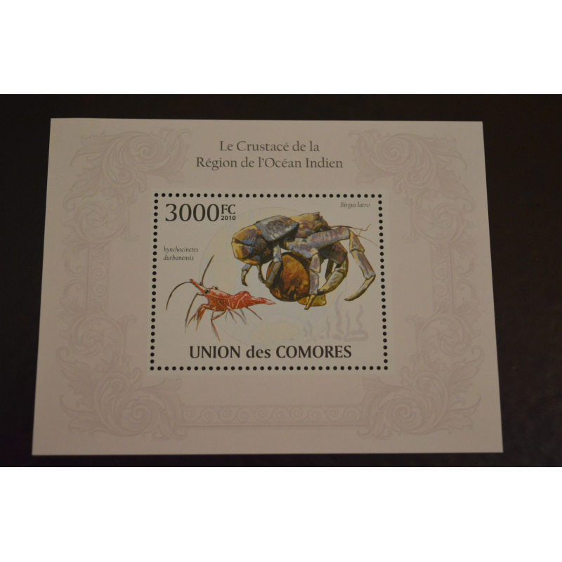 Коморы. Фауна. Блок. 2010 рік (А-20) Коморы. Фауна. Блок. 2010 рік (А-20)
