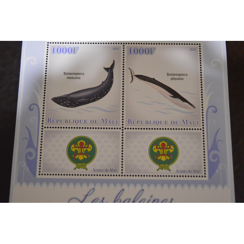 Мали. Фауна. Блок. 2014 рік (А-20)