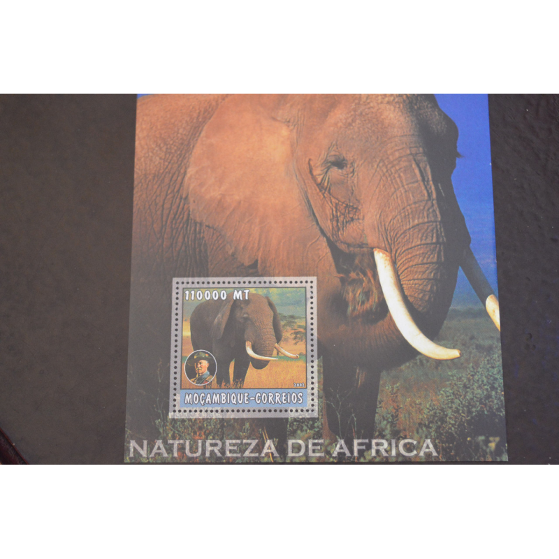 Мозамбік. Фауна. Блок. 2015 рік (В-7) Мозамбік. Фауна. Блок. 2015 рік (В-7)