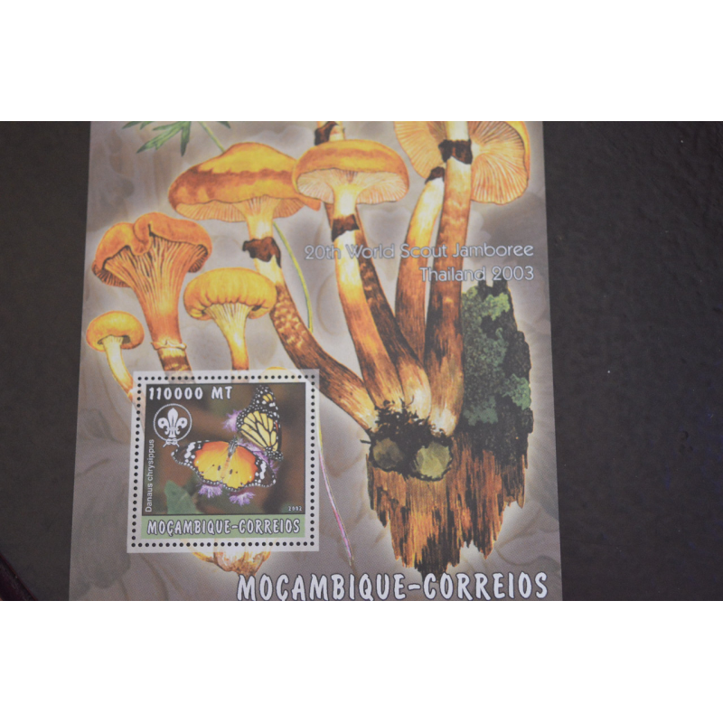 Флора. Мозамбік. Блок. 2015 рік (В-7) Флора. Мозамбік. Блок. 2015 рік (В-7)