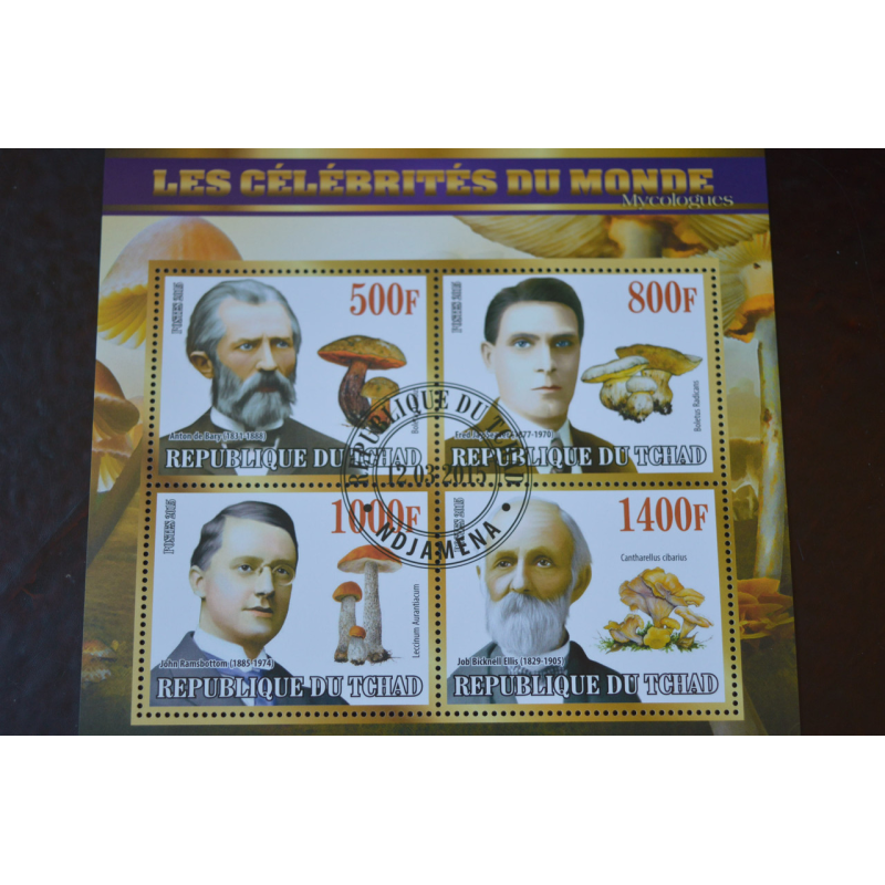Чад. История. Личности. Блок. 2015 рік (Б-4) Чад. История. Личности. Блок. 2015 рік (Б-4)
