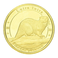 Україна 1 лихонік 2021 UNC Червона книга України — Видра річкова