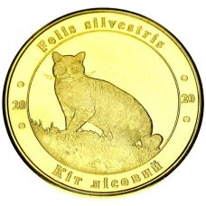 Україна 1 злодій 2020 Червона книга України Лісовий кіт UNC