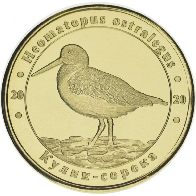 Україна 1 злодій 2020 Червона книга України Кулік-сорока UNC Україна 1 злодій 2020 Червона книга України Кулік-сорока UNC