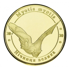Україна 1 злодій 2020 Червона книга України Кажан — Велика нічниця UNC