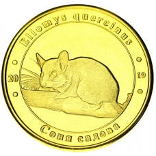 Україна 1 злодій 2019 Червона книга України Садова соня UNC