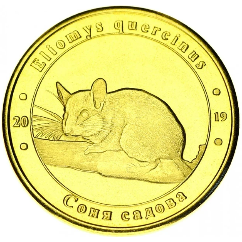 Україна 1 злодій 2019 Червона книга України Садова соня UNC Україна 1 злодій 2019 Червона книга України Садова соня UNC