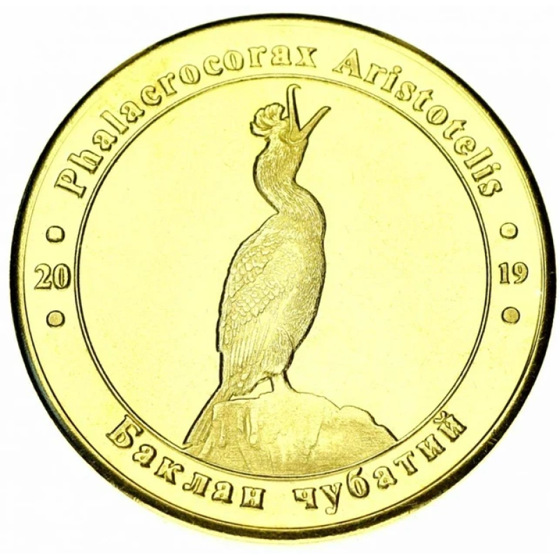 Україна 1 злодій 2019 Червона книга України Птах Хохолотий баклан UNC Україна 1 злодій 2019 Червона книга України Птах Хохолотий баклан UNC