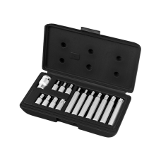 Набір біт TORX, хвостовик-шестигранник, 10 мм, CrV, 15 предм.
