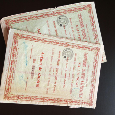 Акція. 1931 рік No024185 (Б-31)