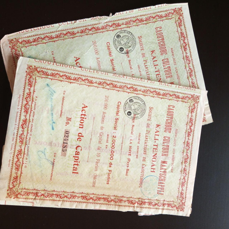 Акція. 1931 рік No024185 (Б-31) Акція. 1931 рік No024185 (Б-31)