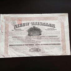 Акція.  1910 рік No19998 (Б-33)