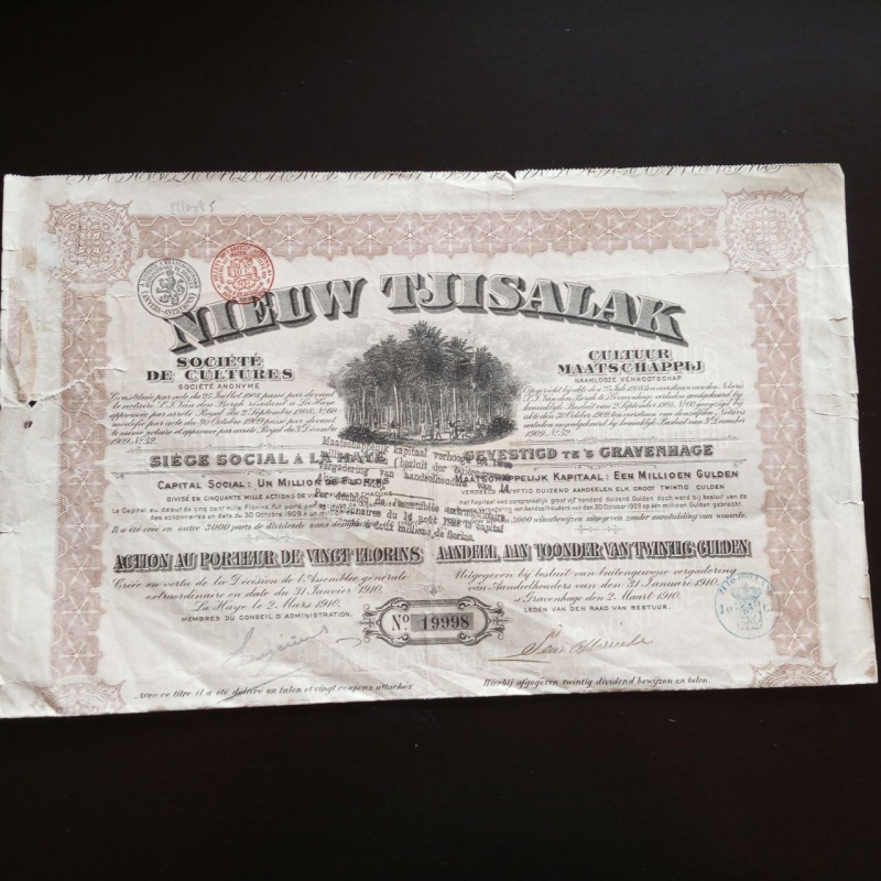 Акція. 1910 рік No19998 (Б-33) Акція. 1910 рік No19998 (Б-33)