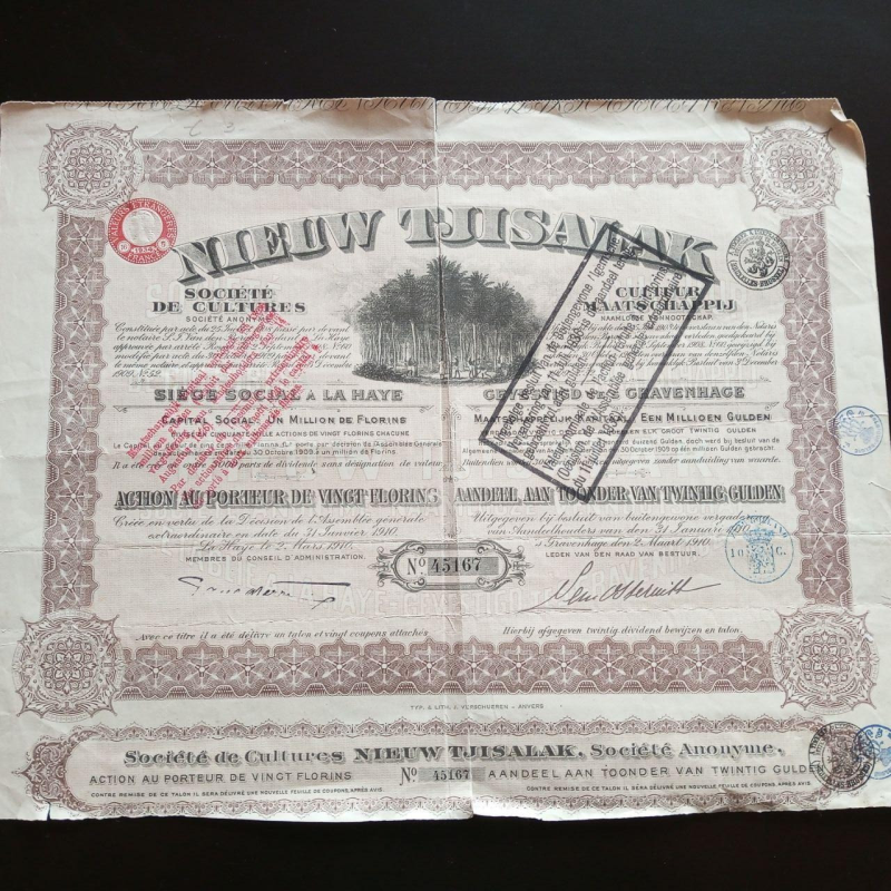 Акція. 1910 рік No45167 (Б-33) Акція. 1910 рік No45167 (Б-33)