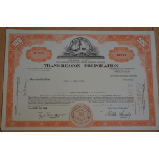 Акція. США. 1966 рік No3900 (Б-5)