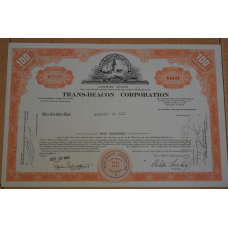 Акція. США. 1966 рік No3187 (Б-5)