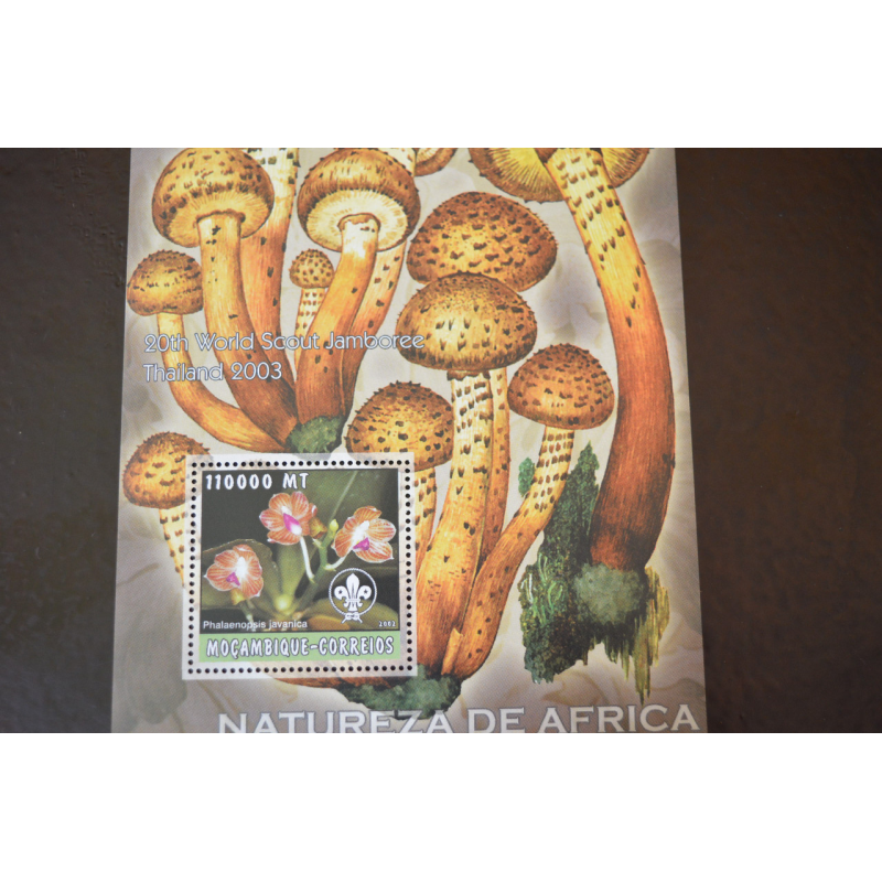 Марки. Флора. Блок. 2010 рік (А-31) Марки. Флора. Блок. 2010 рік (А-31)