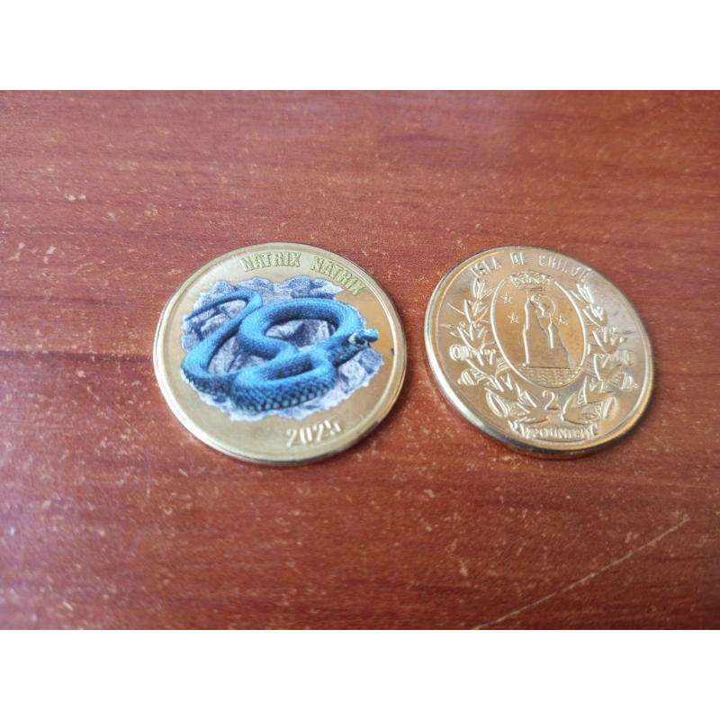 Острів де ЧІЛІ 2 фунта 2025 змія Острів де ЧІЛІ 2 фунта 2025 змія
