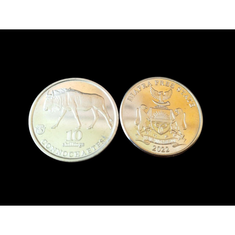 Біафра 10985ів 2022 UNC