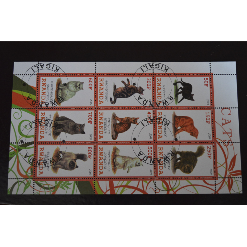 Руанда. Фауна. 2009 рік Руанда. Фауна. 2009 рік