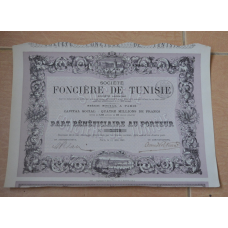 Акція.Туніс. 1885 рік №7,370 (2.6)