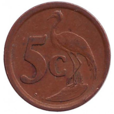 Африканська красавка. Монета 5 центів. 1991 рік, Південна Африка. (БЖ)
