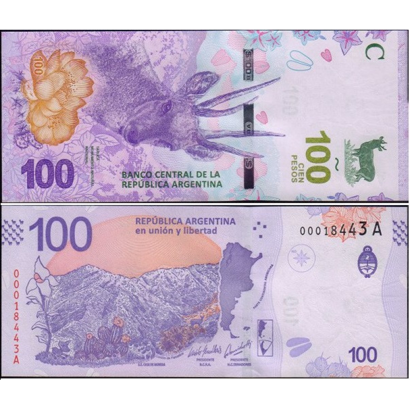 Argentina Аргентина - 100 Pesos 2018 UNC