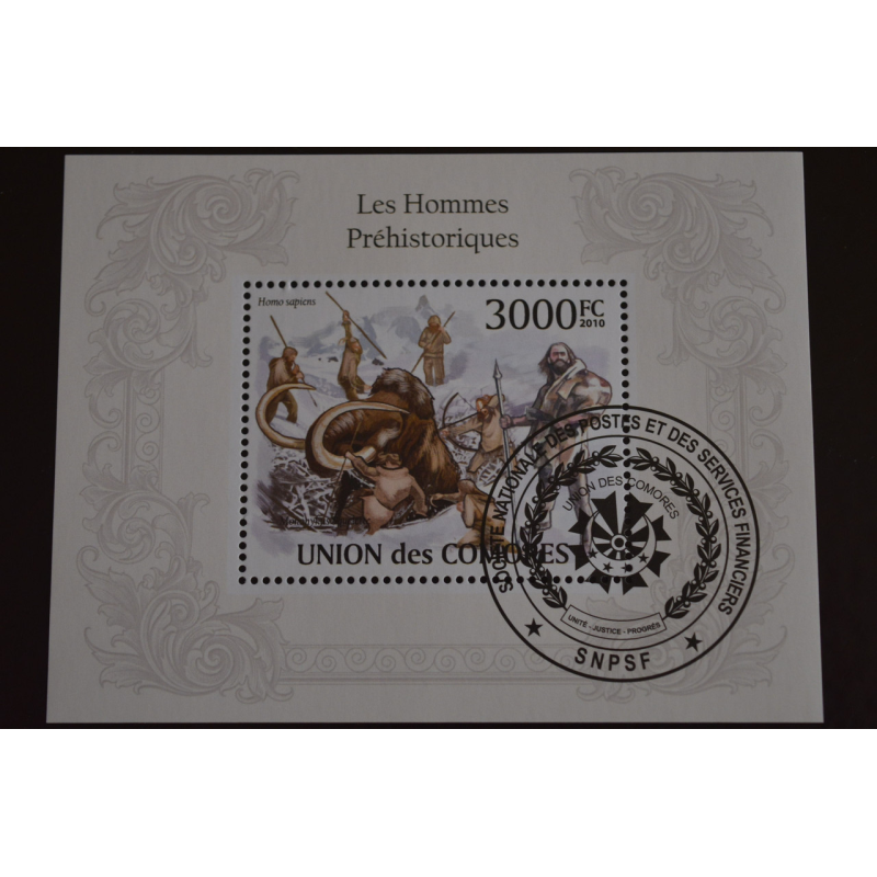 Комори. Фауна. Марки. Блок. 2010 рік (Т)