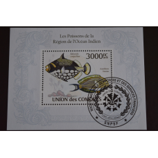 Комори. Фауна. Марки. Блок. 2010 рік (Т)