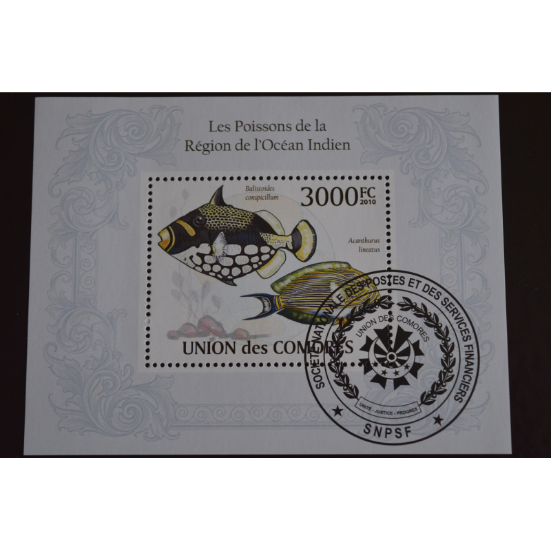 Комори. Фауна. Марки. Блок. 2010 рік (Т) Комори. Фауна. Марки. Блок. 2010 рік (Т)