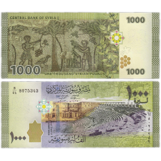 Syria Сирія - 1000 Pounds 2015 ( 2013 ) UNC Pick 116